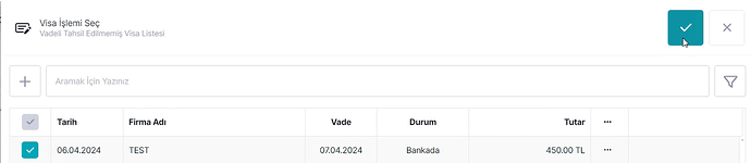 Visa İşlemi Seçimi