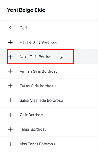 Nakit Giriş Bordrosu
