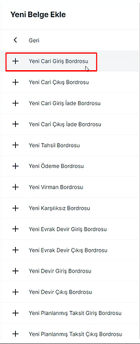 Cari Giriş Bordrosu