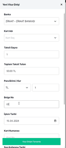 Yeni Visa Girişi